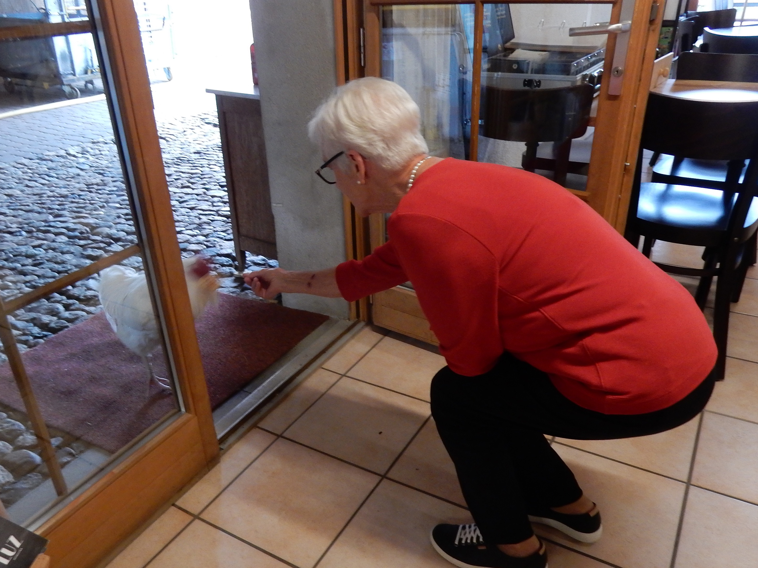 Ausflug zum Spycherhof mit Schaukarderei in Huttwil