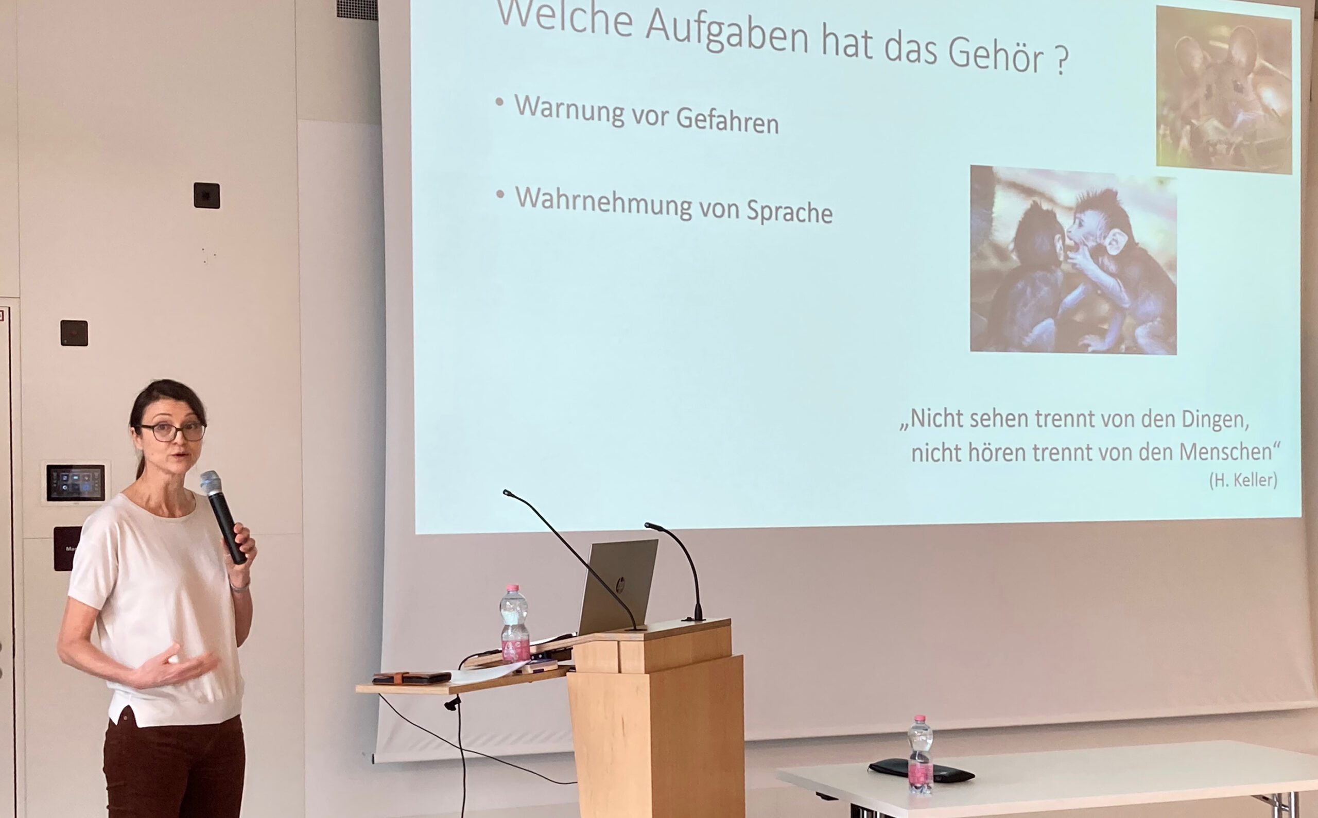 Tag des Hörens / Informationsveranstaltung